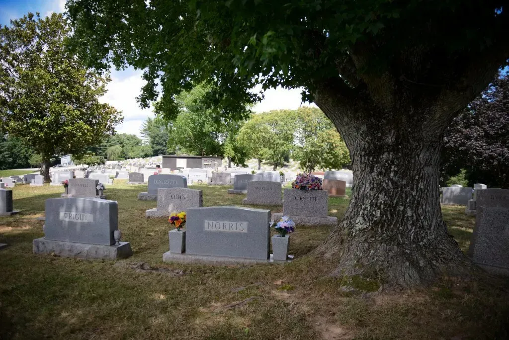 Cemetery with headstones under a large tree on a sunny day.