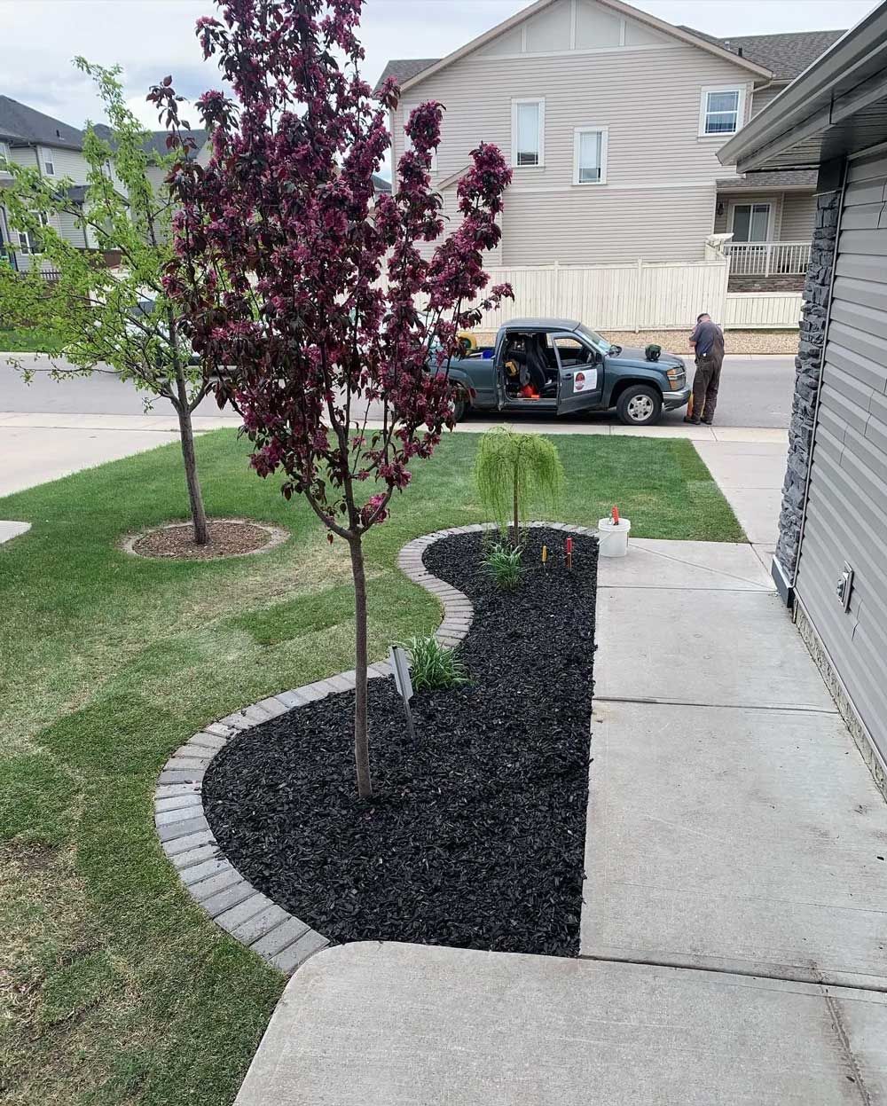 A truck is parked in the driveway of a house next to a tree.