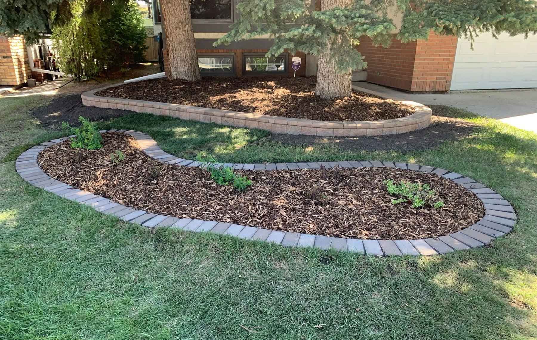 A lawn with a brick border and a tree in the middle of it.