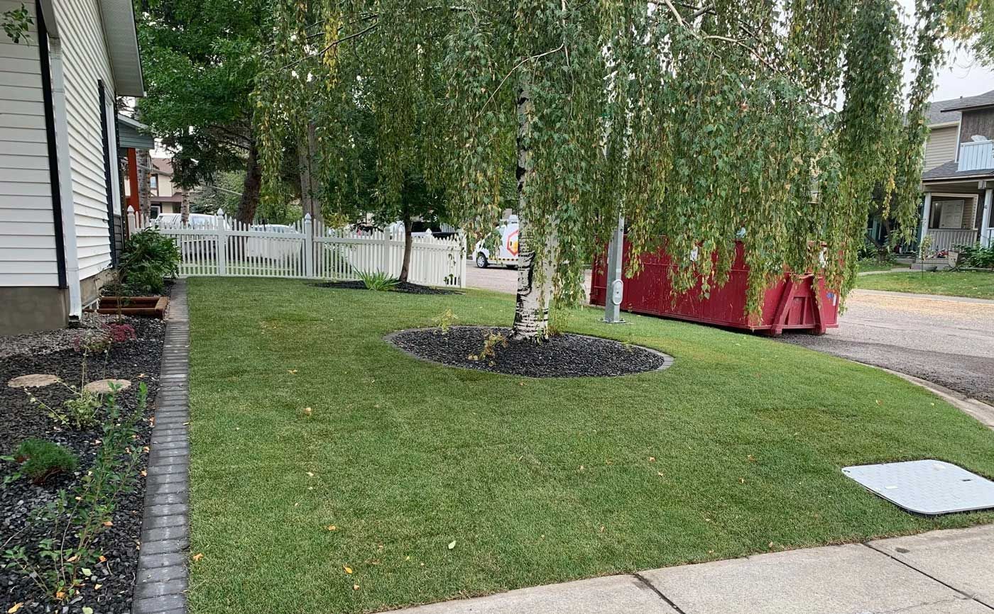 A lush green lawn with a tree in the middle of it in front of a house.