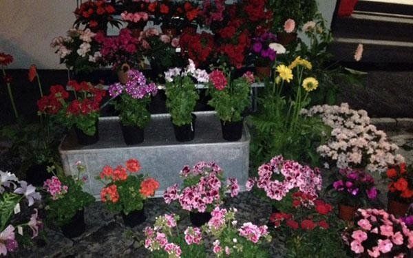 assortimento di fiori per la celebrazione di funerali