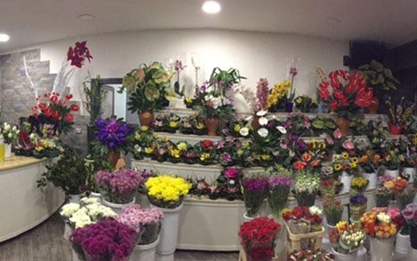 assortimento di fiori colorati per riti funebri