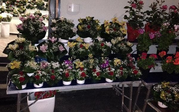 vasi di fiori per decorare la chiesa