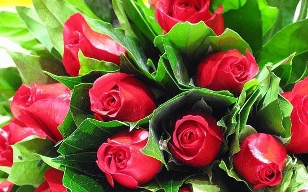 mazzo di rose per una cerimonia funebre