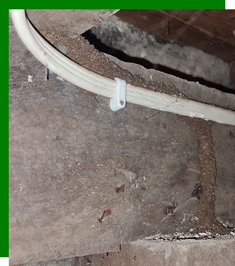 termite impact on homes