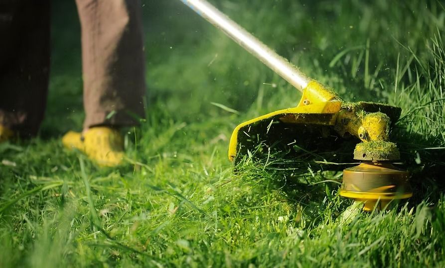 A person is using a lawn mower to cut the grass.