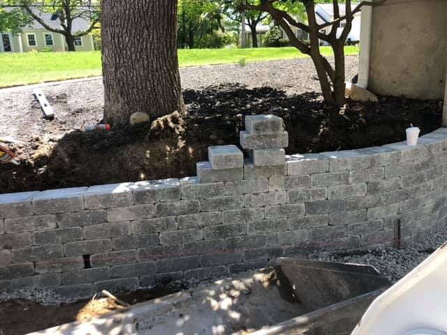A brick wall is being built next to a tree.