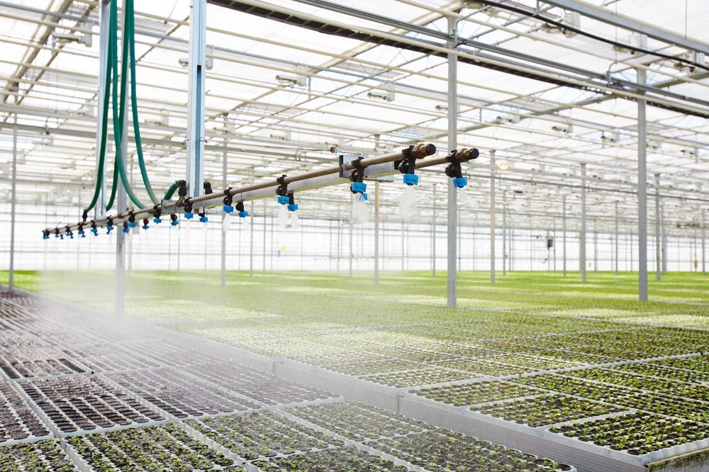 A greenhouse filled with lots of plants and a hose spraying water.