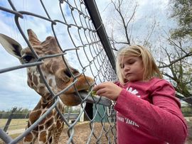 Tupelo Buffalo Park and Zoo | Since 2001 | Tupelo, MS