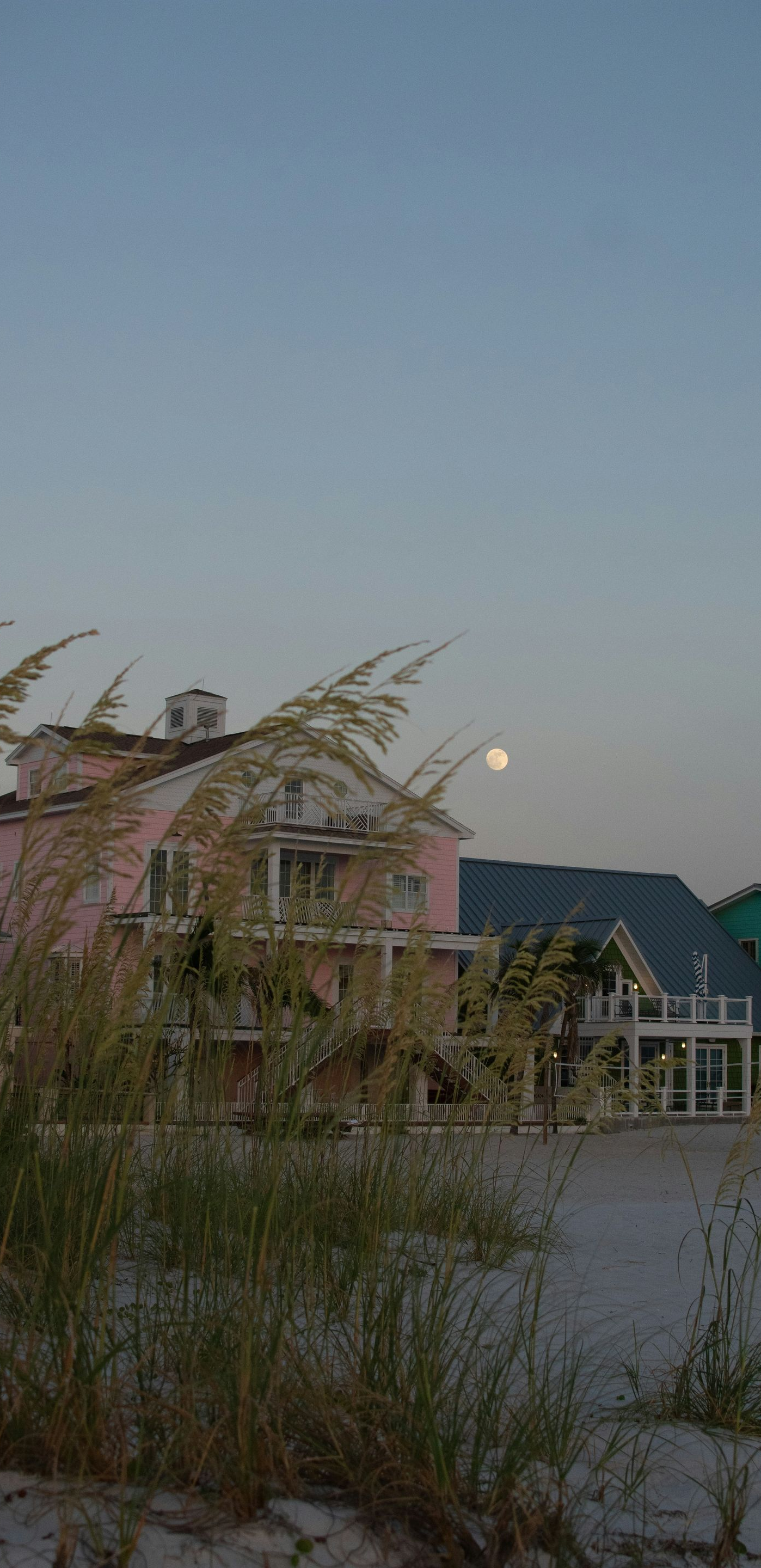 Twilight view of a pink house with a lit moon or streetlight, framed by tall grasses and a quiet street.