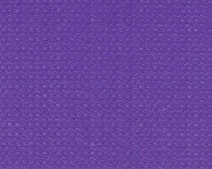 Electric Purple — Perth, WA — Domain Force Shade Sails