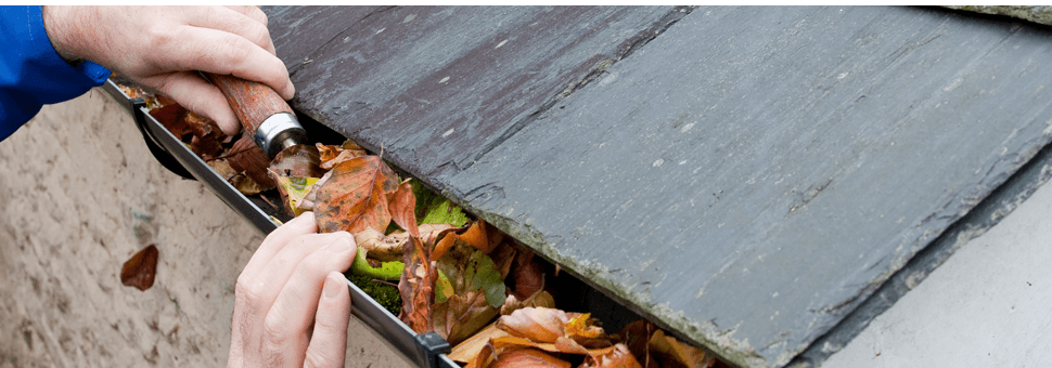leaves being cleared from guttering