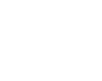 A logo for a company called pam consolidated business services.
