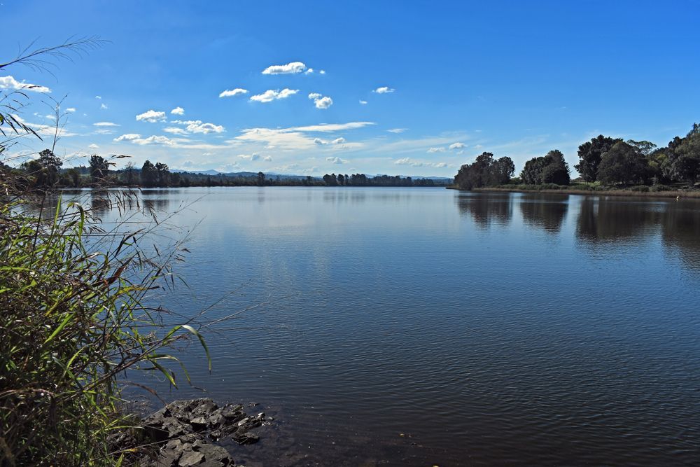 A Large Body Of Water Surrounded By Trees On A Sunny Day — Port Stephens Removals & Storage In Raymond Terrace, NSW