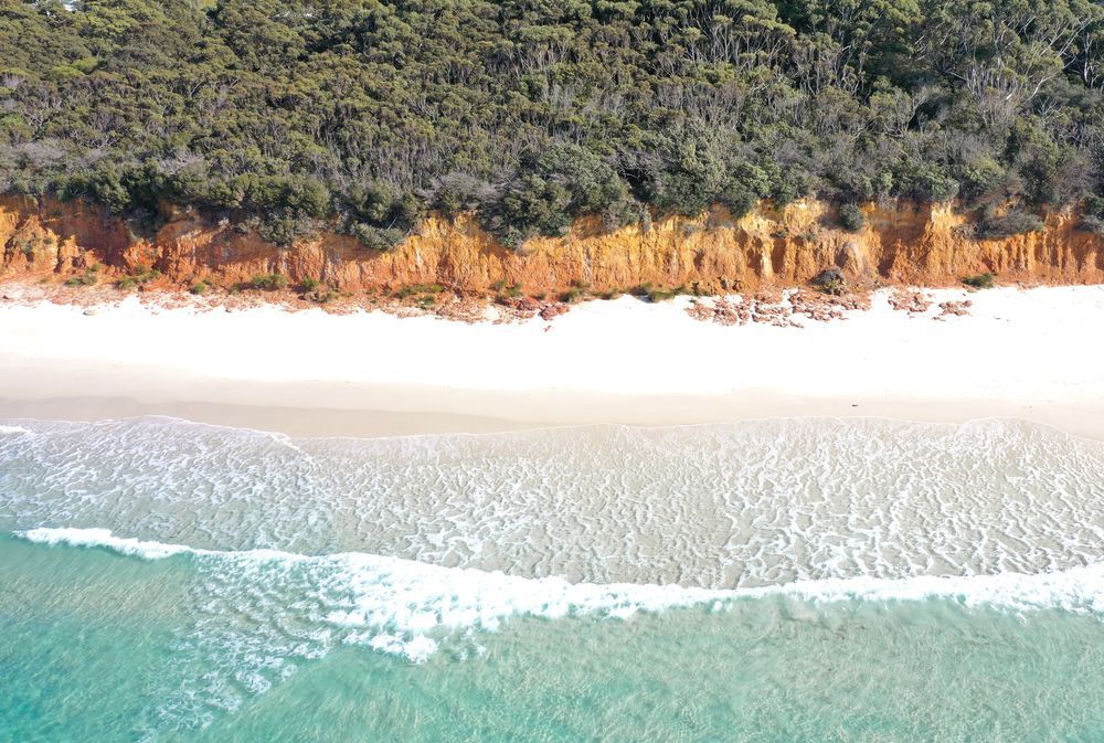 An Aerial View Of A Beach Surrounded By Trees And A Body Of Water — Port Stephens Removals & Storage In Nelson Bay, NSW
