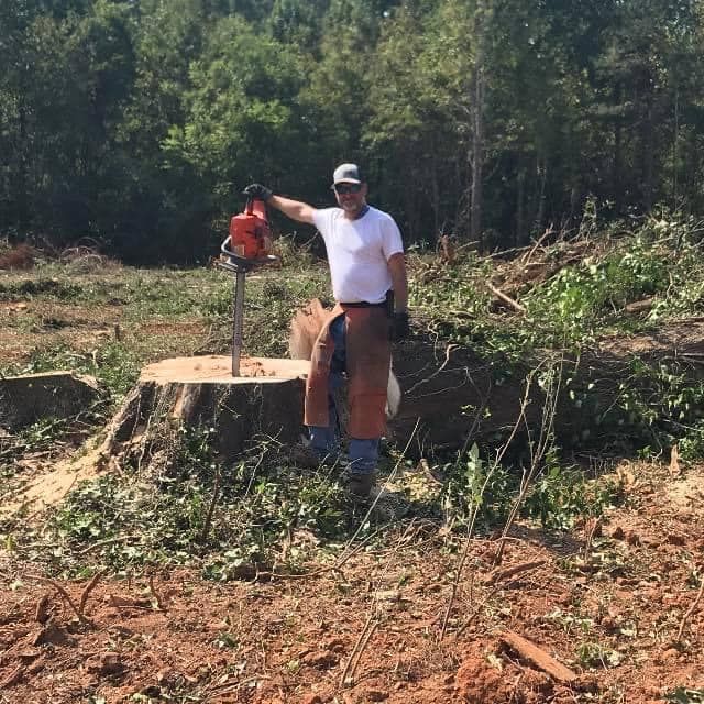 Man in a white shirt and cap stands near a tree stump, holding a chainsaw in a wooded area.