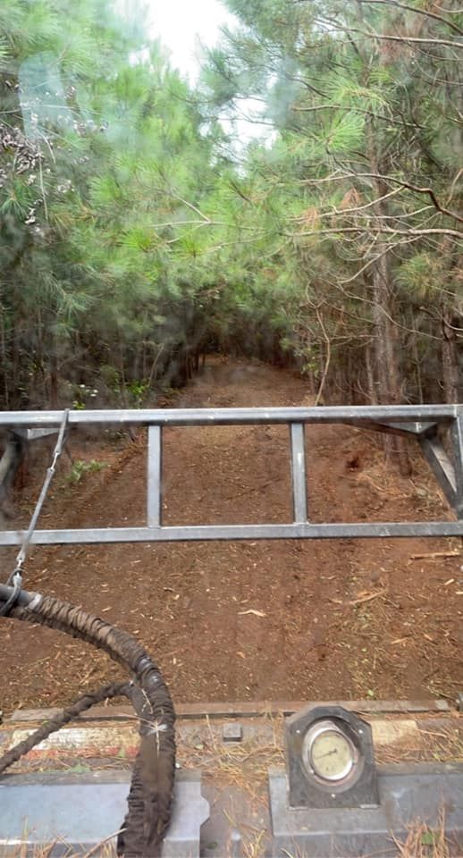 A dirt path blocked by metal bars, leading uphill into a forest of green trees.