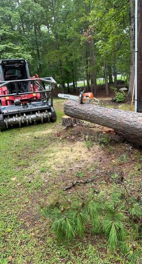 A large log next to a stump, with a red industrial machine and trees in the background.