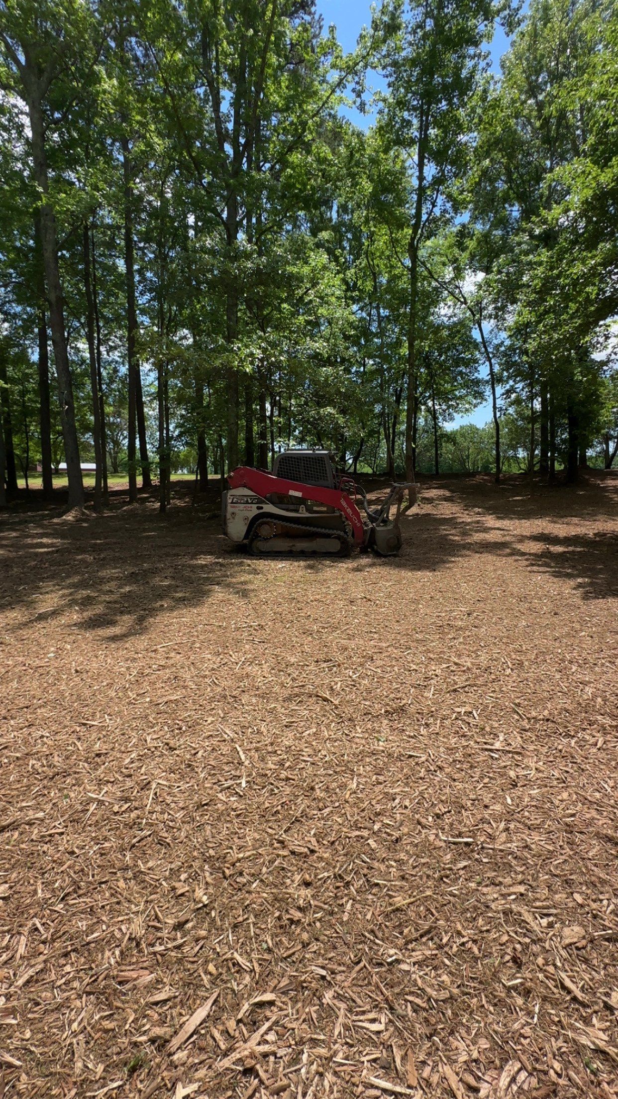 Tractor clearing trees and debris in a wooded area, creating a path.