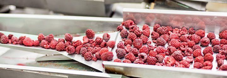 The food-processing industry has a critical role in the food supply chain, as it turns fresh food into eatable products. Learn more about it here-1