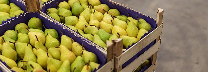 Ripe fruit is a beloved product among buyers and consumers. Discover the top 5 tips to master the industrial processes behind it-2