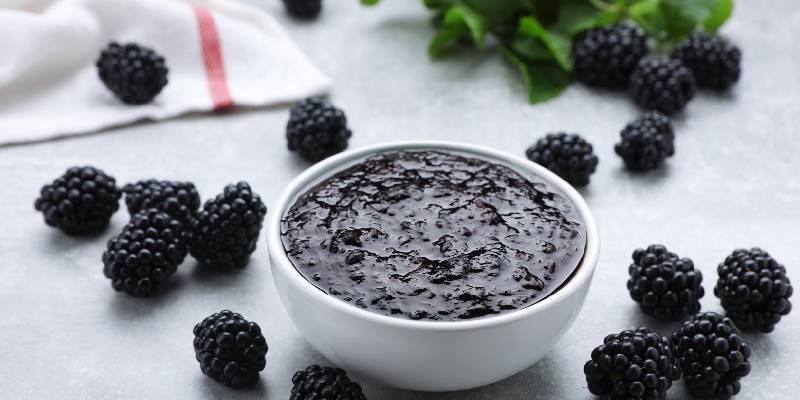 Blackberry puree and its uses in dairy products | Alimentos SAS