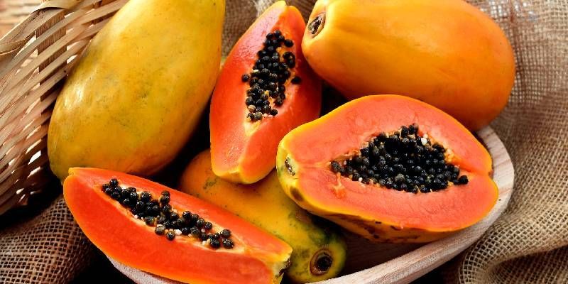 Papaya fruit and its uses in the food industry | Alimentos SAS