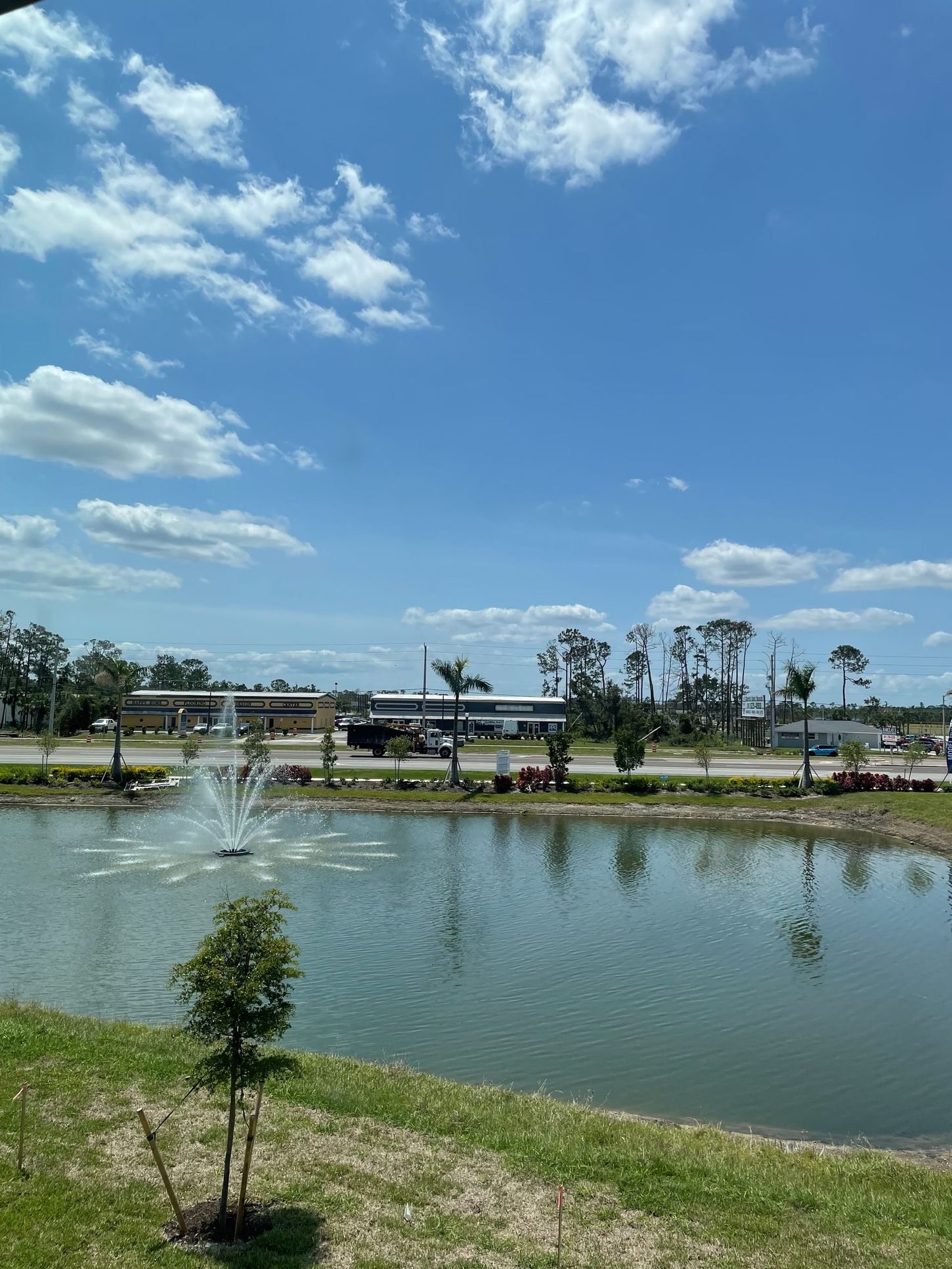 Park pond with fountains under a blue sky, bordered by grass and trees.