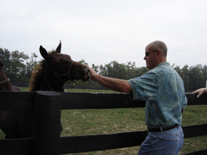 A man petting a horse behind a fence in a field