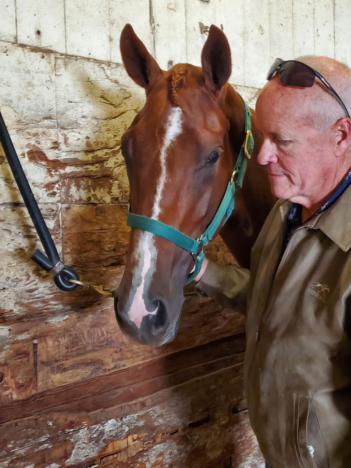A man standing next to a brown horse in a stable
