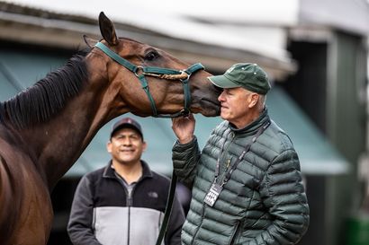 Two men are standing next to a brown horse.
