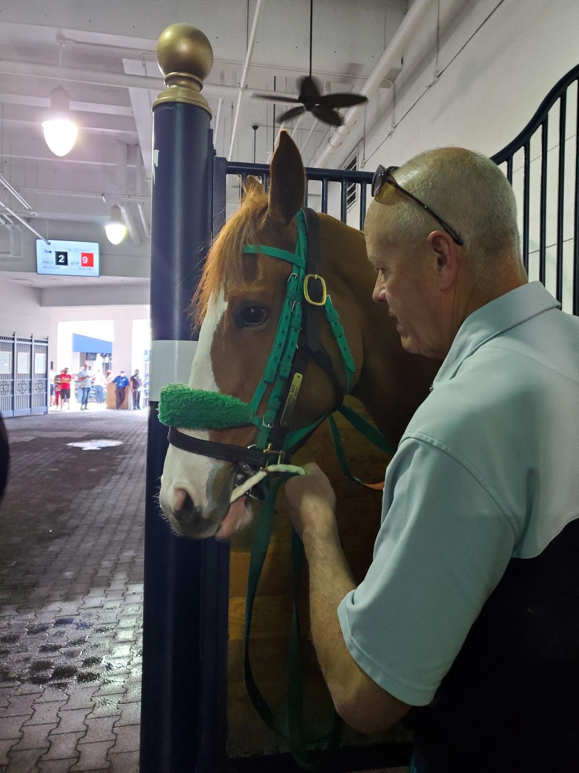 A man petting a brown horse with a green bridle