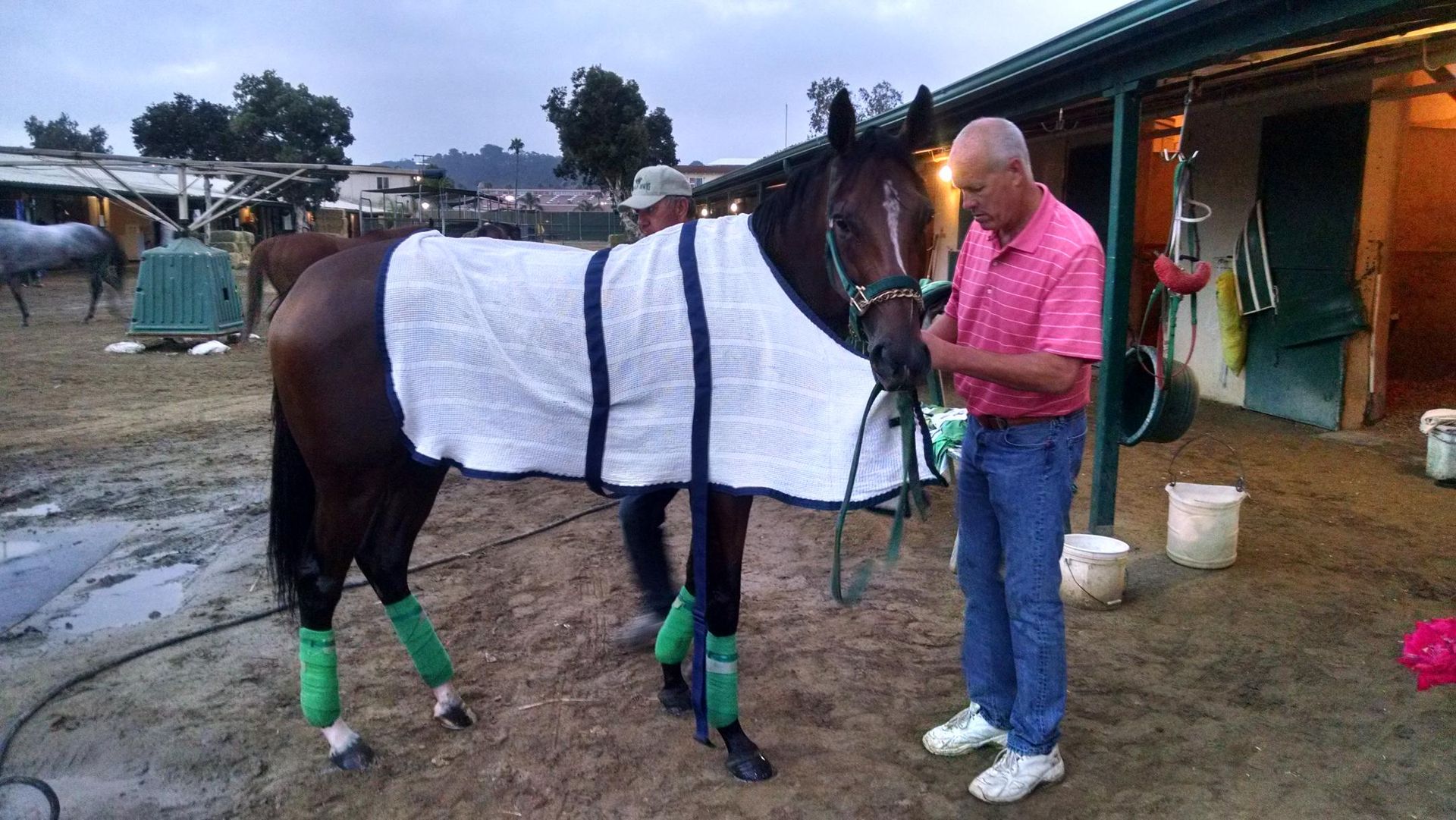 A man in a pink shirt is standing next to a horse with a white blanket on it.
