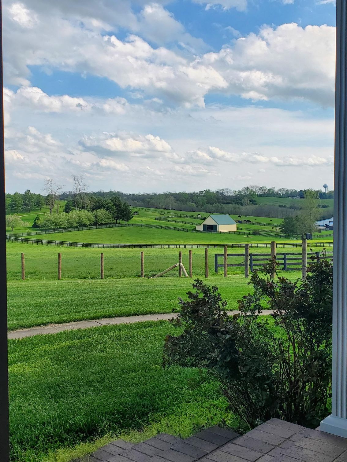 A view of a lush green field from a porch