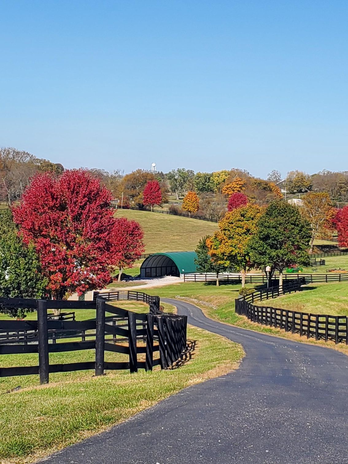 A road with a fence and trees on the side of it