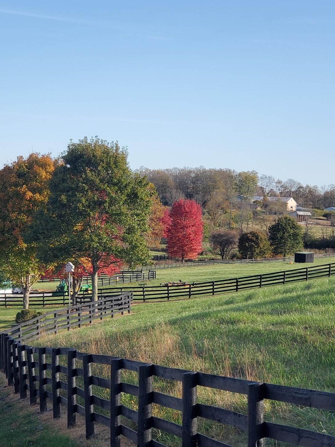 A fence surrounds a grassy field with trees in the background