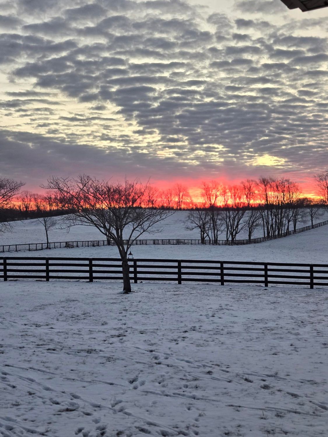 A snowy field with a fence in the foreground and a sunset in the background.