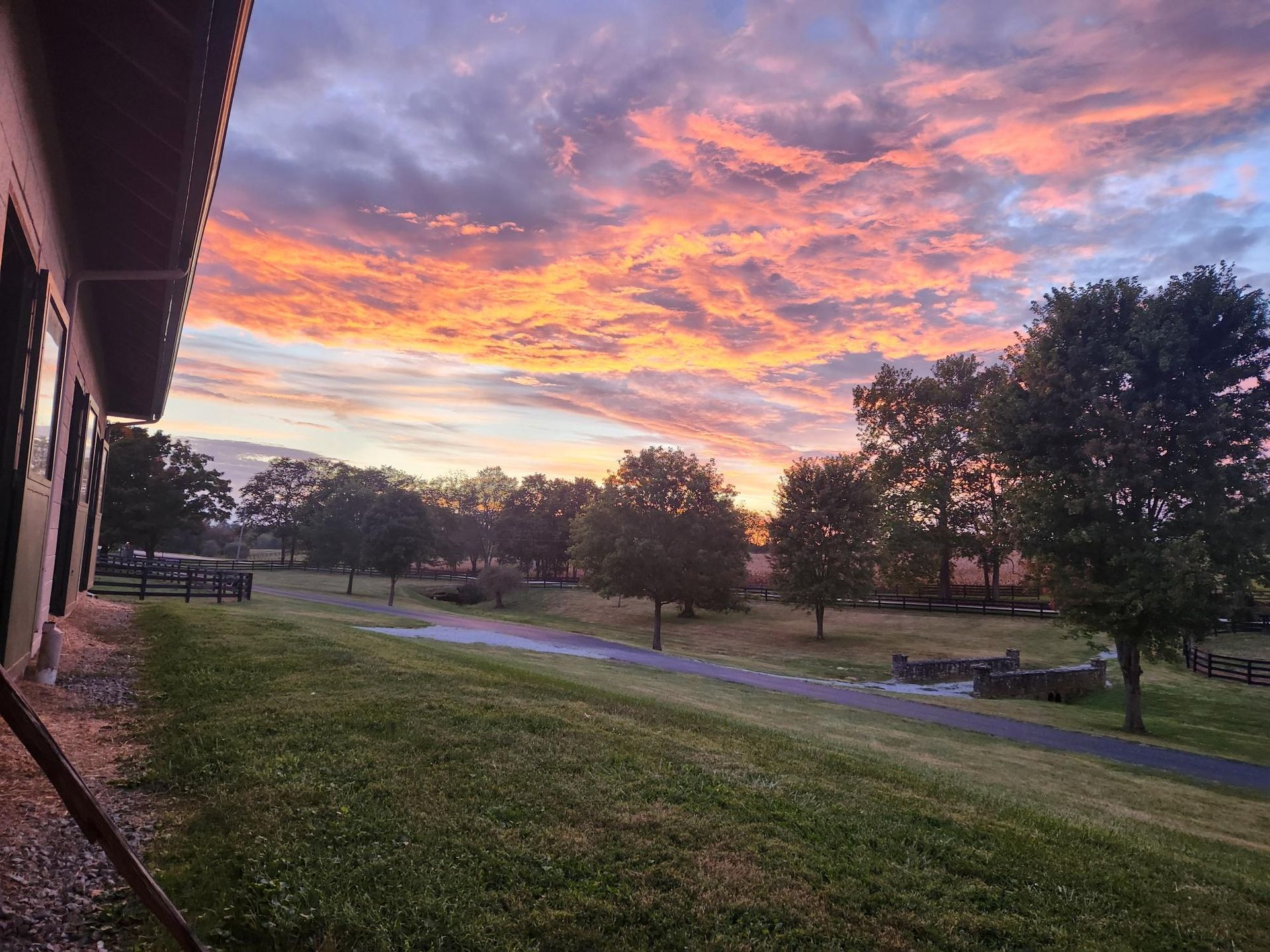 A sunset over a grassy field with trees in the background