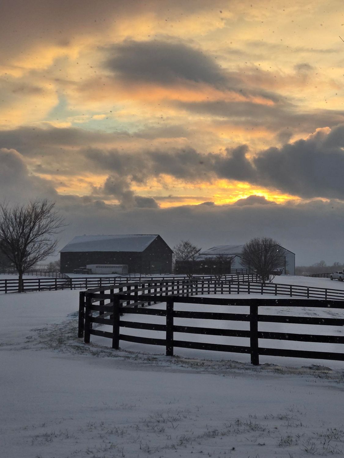 A snowy field with a fence and a barn in the background