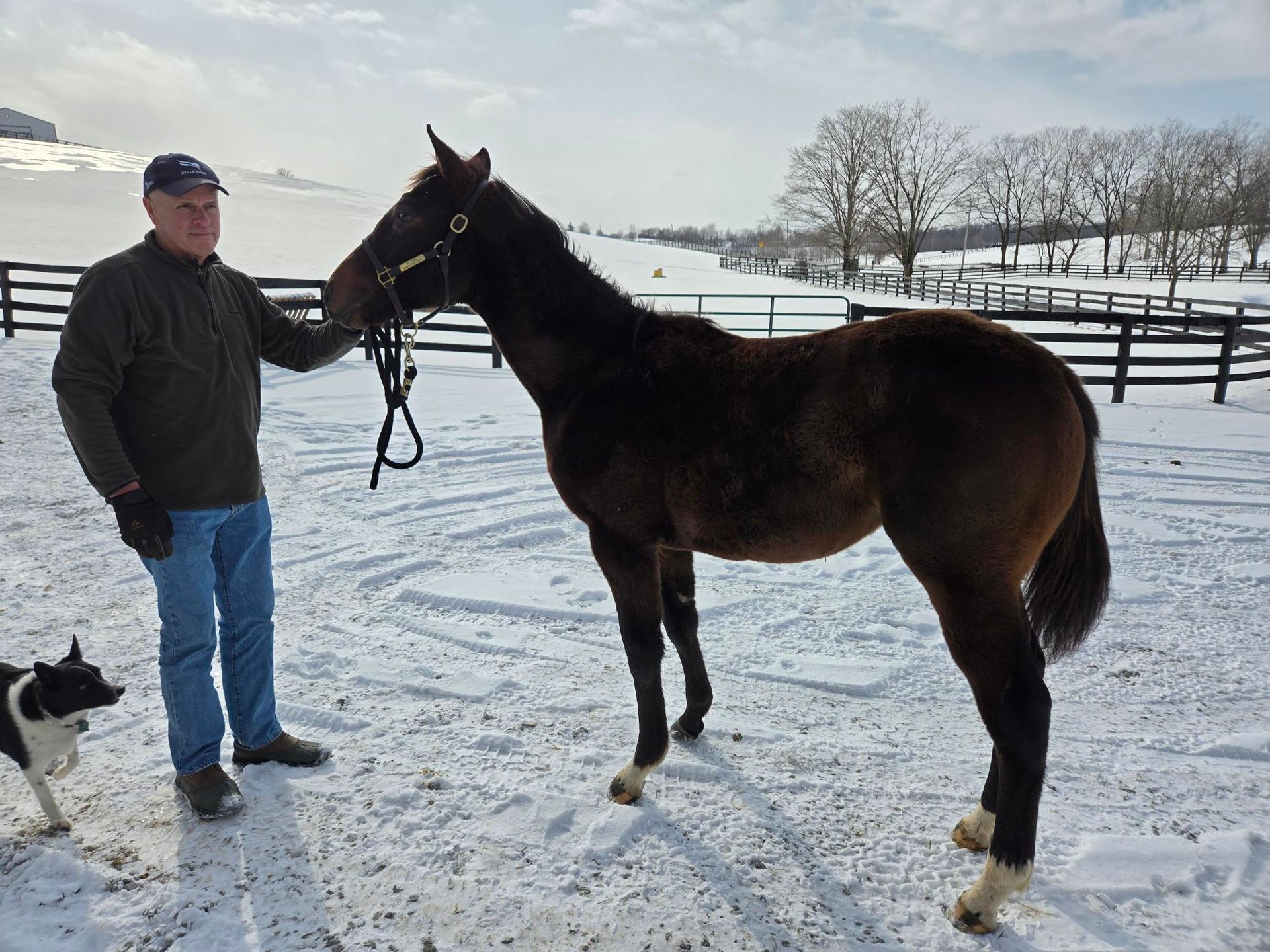A man standing next to a horse in the snow