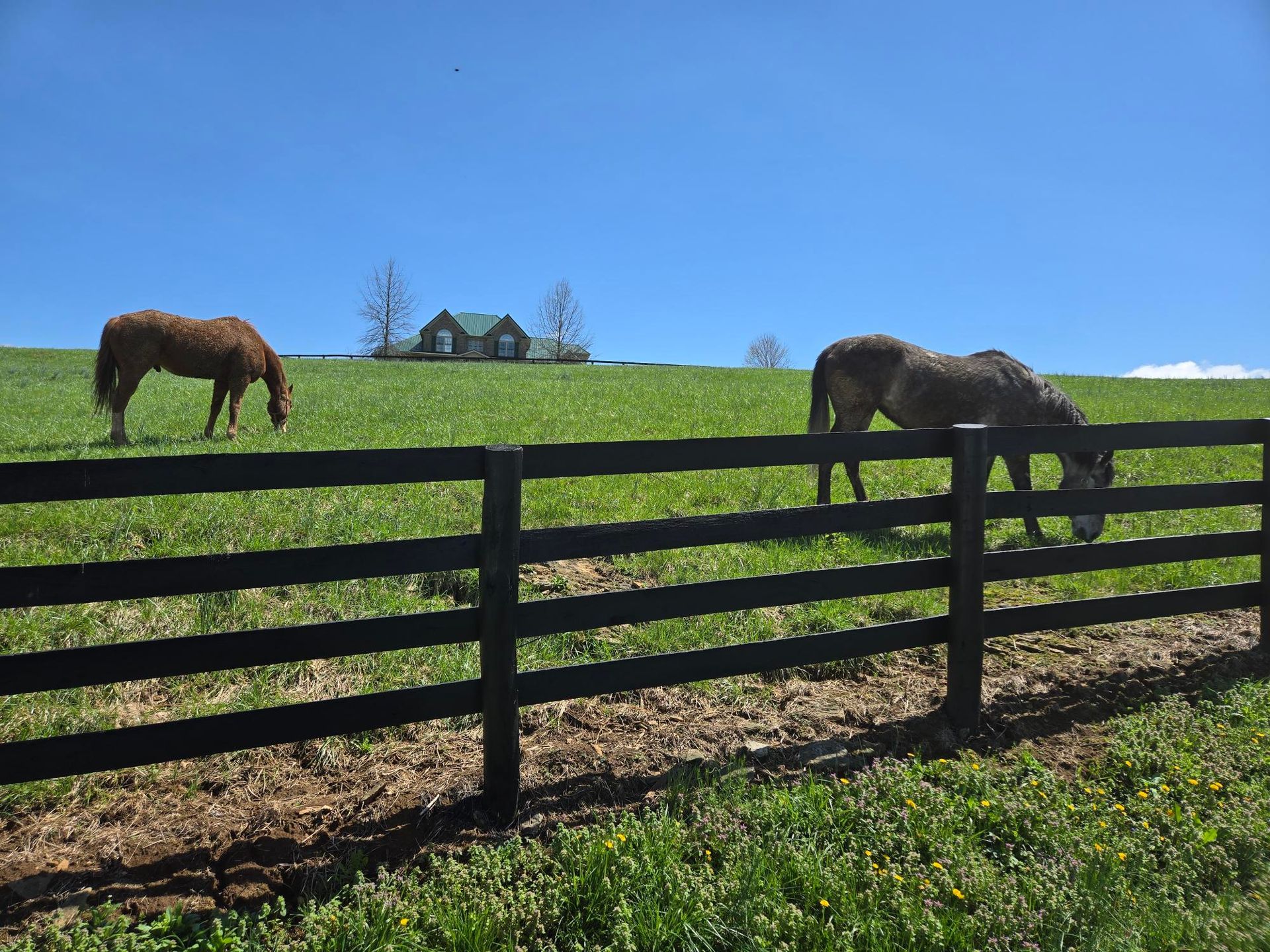 Two horses grazing in a field behind a fence