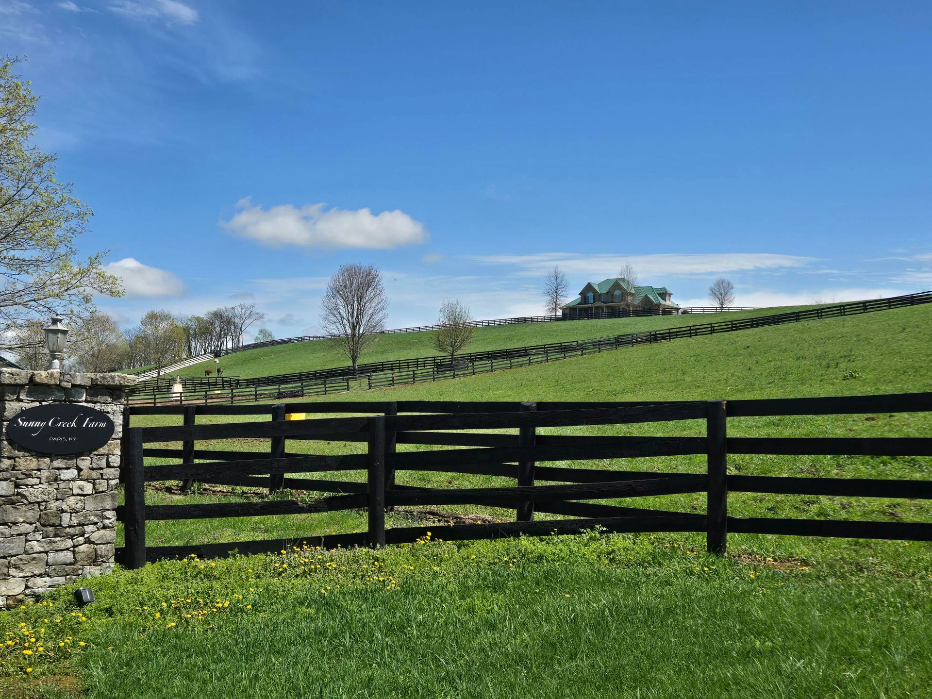 A wooden fence surrounds a lush green field