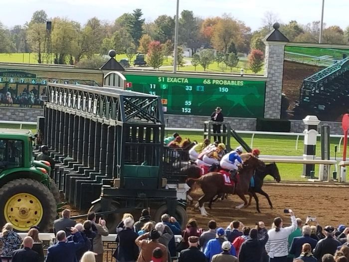 A crowd of people watching horses race on a track