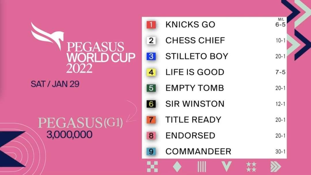 A poster for the pegasus world cup in 2022