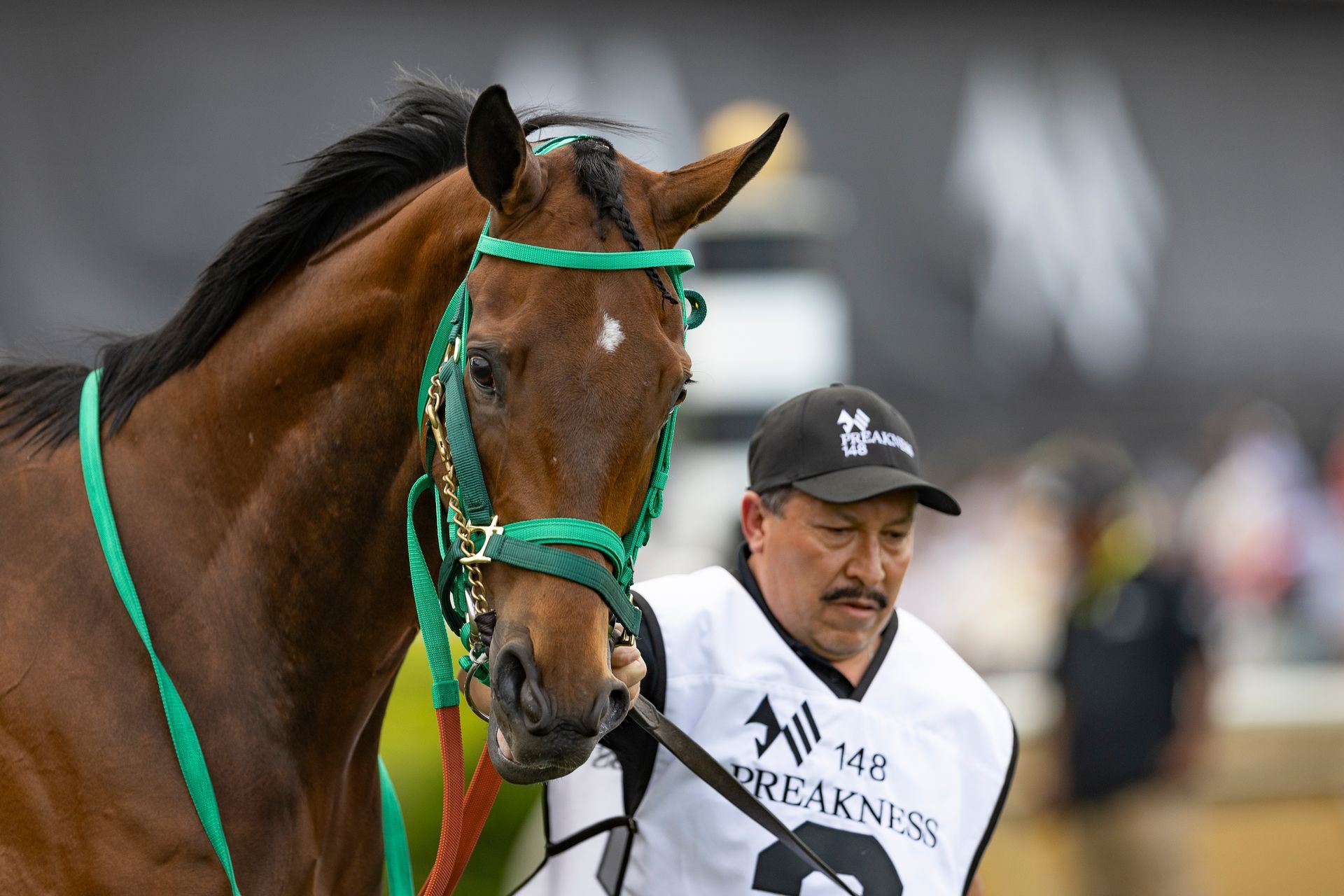 A man is standing next to a brown horse wearing a green bridle.