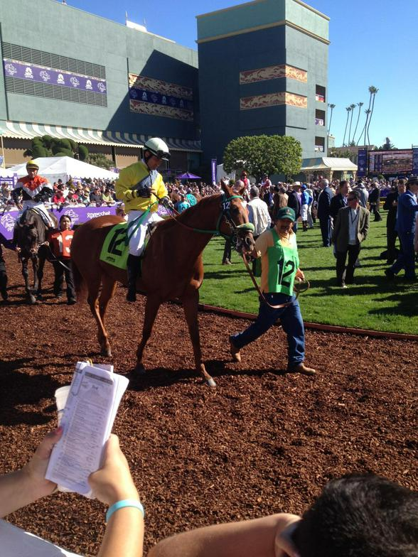 A jockey riding a horse with the number 23 on the back