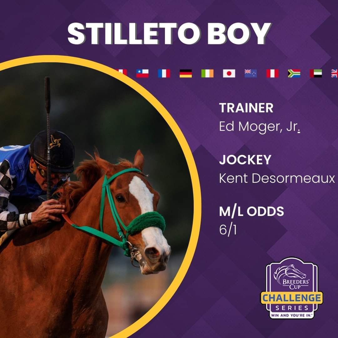 A jockey is riding a horse named stilleto boy