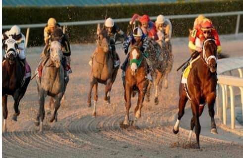 A group of horses are racing on a track