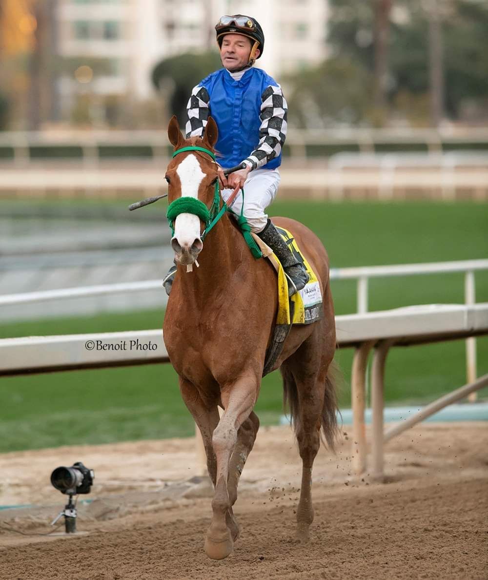A jockey is riding a brown horse on a track