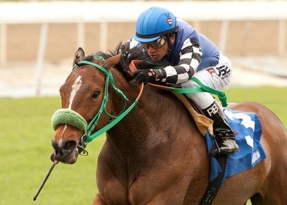 A jockey wearing a blue helmet is riding a brown horse
